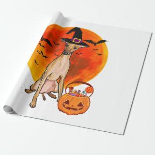 Dog Halloween Italian Greyhound Jack O Lantern
