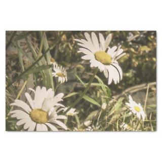 Dog Sympathy with Yellow Daisies Tissue Paper