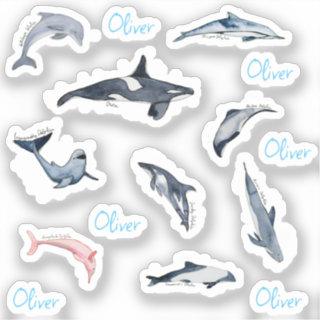 Dolphin orca watercolor drawing personalised name sticker