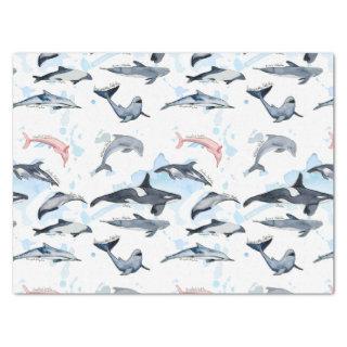 Dolphin theme party kids watercolor drawing  tissue paper