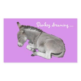 Donkey dreaming cute baby donkey foal rectangular sticker