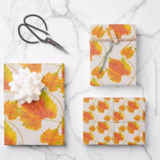 Dotty Spotty Fall on a  Set