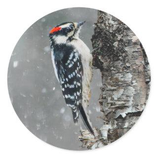 Downy Woodpecker in Snow - Original Photograph Classic Round Sticker