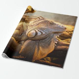 Dragon Iguana