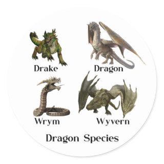 Dragon Types Species Wrym Wyvern Drake Classic Round Sticker