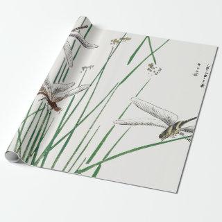 DRAGONFLY JAPANESE