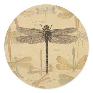 Dragonfly Vintage Antique Classic Nature Classic Round Sticker