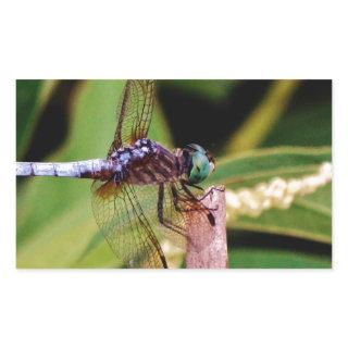 Dragonfly with white flowers rectangular sticker