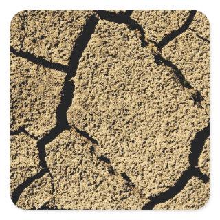 Dry land with cracked earth in drought square sticker