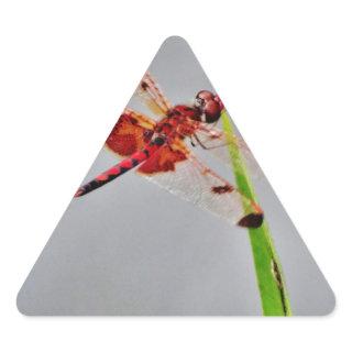 DSC00029.JPG TRIANGLE STICKER