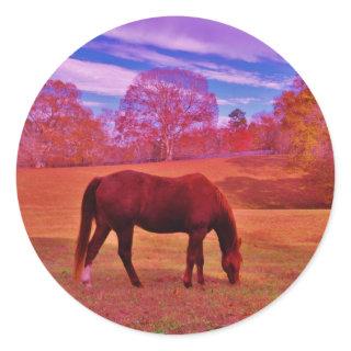 DSCF0536.JPG CLASSIC ROUND STICKER