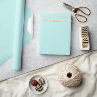 Duck egg - Solid color aqua blue