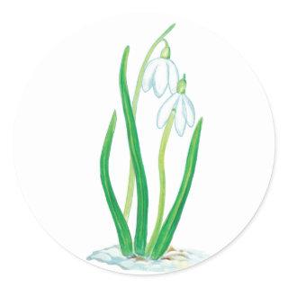 Early Spring Snowdrops  Classic Round Sticker