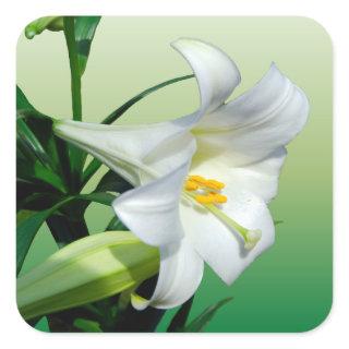 Easter Lily Sticker