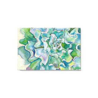 Echeveria 'Blue Frills' Canvas Print