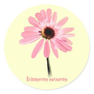 Echinacea purpurea classic round sticker
