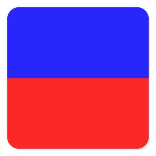 ECHO SQUARE STICKER
