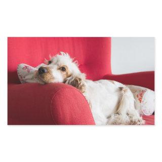 ecs orange and white chillin rectangular sticker
