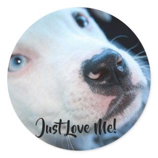 Editable Baby Pitbull White Puppy Classic Round Sticker