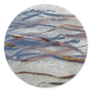 Eel Grass Seaweed Sticker