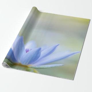 Elegant Blue Lotus