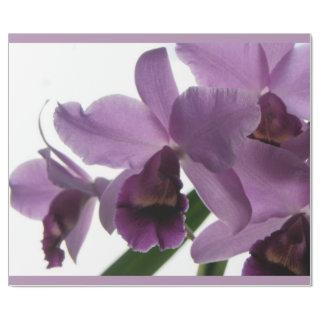 Elegant Purple Cattleya Orchids