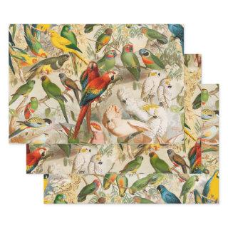 Elegant Vintage Tropical Birds Parrots  Sheets