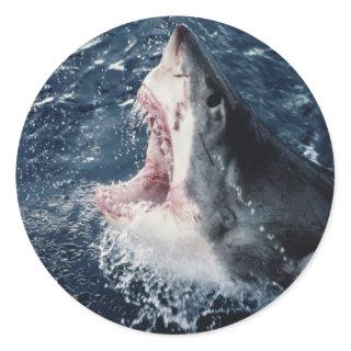 Elevated Shark mouth open Classic Round Sticker