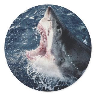 Elevated Shark mouth open Classic Round Sticker