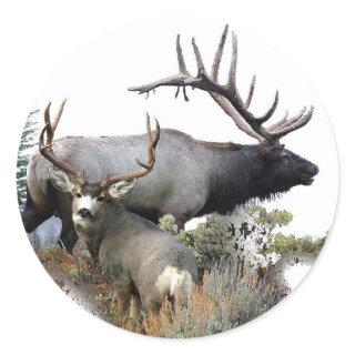 Elk and mule deer classic round sticker