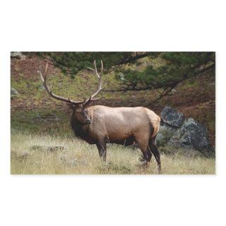 Elk in the Wild Sticker