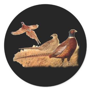 Elusive Pheasant Bird Hunting Classic Round Sticker