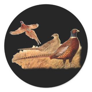 Elusive Pheasant Bird Hunting Classic Round Sticker