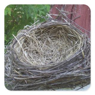 Empty Bird's Nest Square Sticker