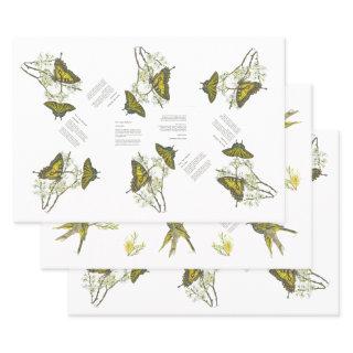 Endangered Swallowtail and Honeyeater Handpainted  Sheets