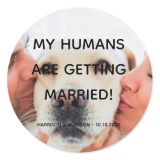 Engagement announcement Custom photo dog couple Classic Round Sticker