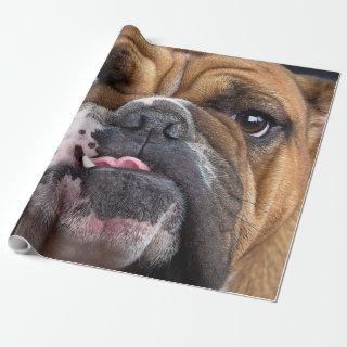 English Bulldog  Throw Pillow