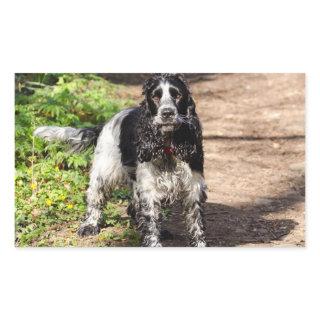 english cocker spaniel black roan full rectangular sticker