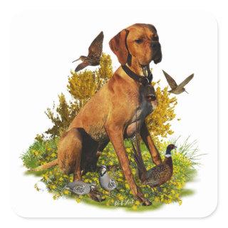 English pointer, bird hunting  square sticker