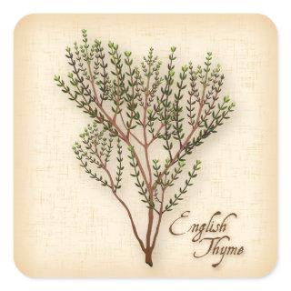 English Thyme Herb Square Sticker