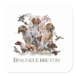 Epagneul Breton, Brittany Spaniel  Square Sticker