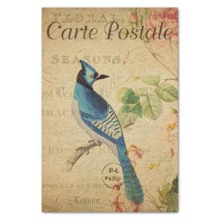 Ephemera French Postcard Blue Jay Bird Decoupage Tissue Paper