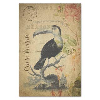 Ephemera French Postcard Toucan Bird Decoupage Tissue Paper