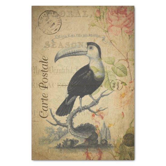 Ephemera French Postcard Toucan Bird Decoupage Tissue Paper