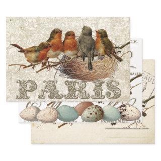 European Robin French Script Nest Egg Postmark Set  Sheets