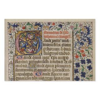 exquisite medieval illuminated manuscripts  sheets