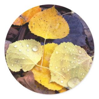 Fall Aspen Leaves Stickers