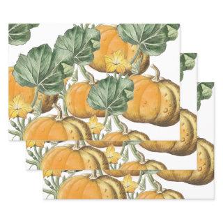 Fall Autumn Watercolor Vintage Pumpkins  Sheets