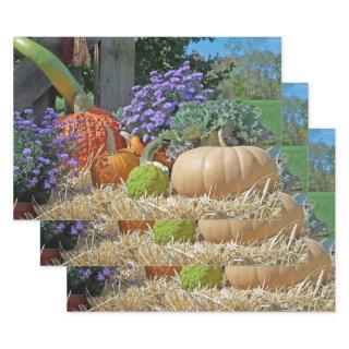 Fall Harvest  Sheets