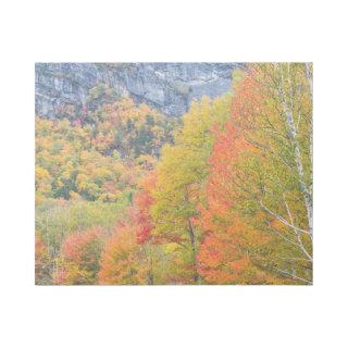 Fall in Grafton Notch State Park, Maine Gallery Wrap